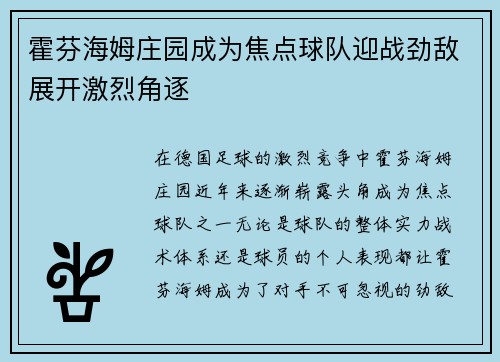 霍芬海姆庄园成为焦点球队迎战劲敌展开激烈角逐