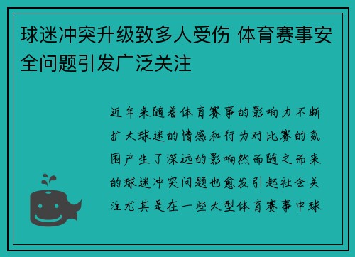 球迷冲突升级致多人受伤 体育赛事安全问题引发广泛关注